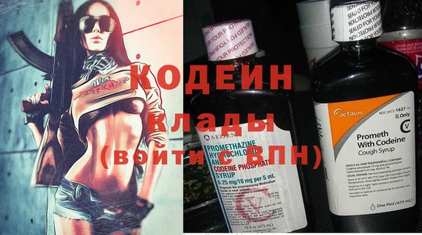 дживик Абаза