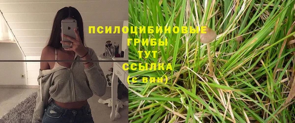 дживик Абаза